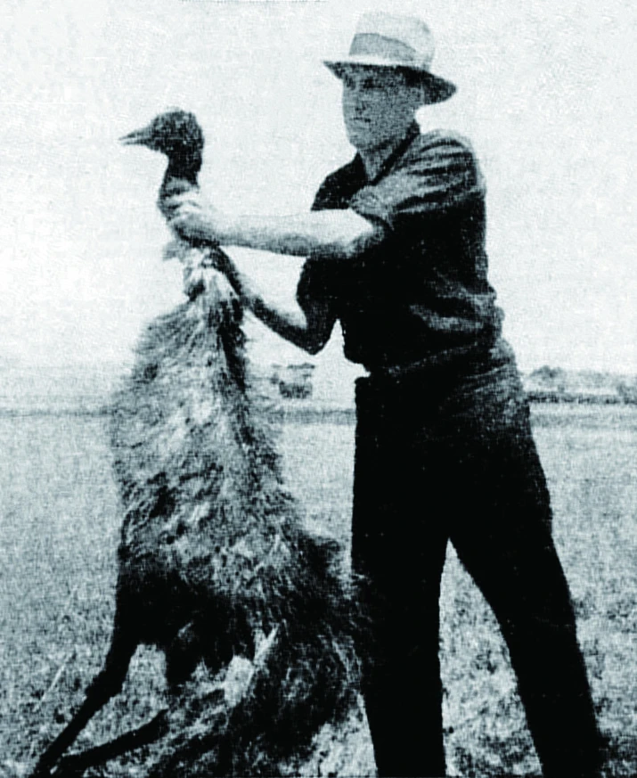 The Great Emu War: When Australia Went to War With Birds - History