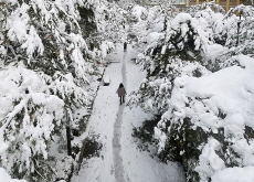 Record-Breaking November Snowfall Blankets Seoul - National News