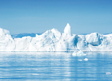 Planting Trees in the Arctic May Worsen Global Warming, Study Finds - Science